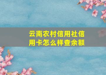 云南农村信用社信用卡怎么样查余额