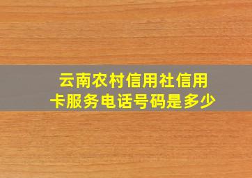 云南农村信用社信用卡服务电话号码是多少