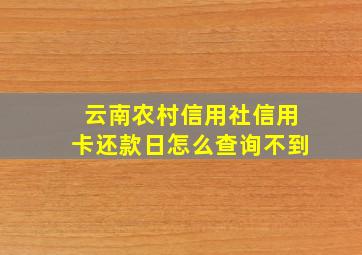 云南农村信用社信用卡还款日怎么查询不到