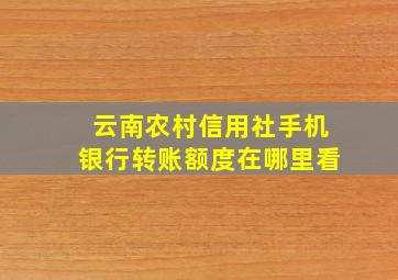 云南农村信用社手机银行转账额度在哪里看