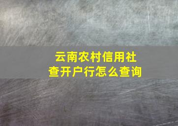 云南农村信用社查开户行怎么查询