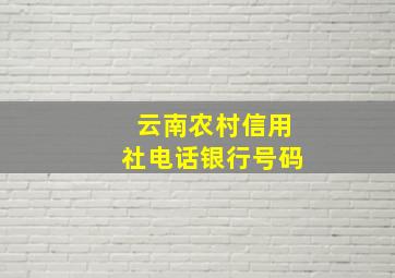 云南农村信用社电话银行号码