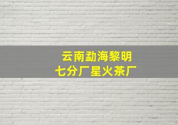 云南勐海黎明七分厂星火茶厂