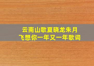 云南山歌夏晓龙朱月飞想你一年又一年歌词