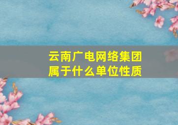 云南广电网络集团属于什么单位性质