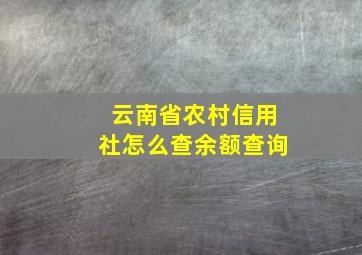 云南省农村信用社怎么查余额查询