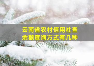 云南省农村信用社查余额查询方式有几种