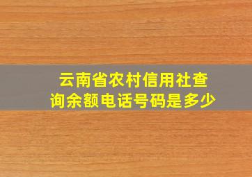 云南省农村信用社查询余额电话号码是多少