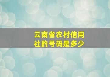 云南省农村信用社的号码是多少