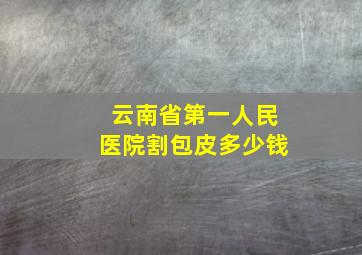 云南省第一人民医院割包皮多少钱