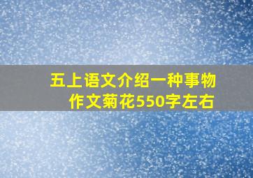 五上语文介绍一种事物作文菊花550字左右