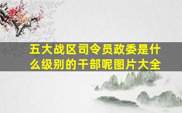 五大战区司令员政委是什么级别的干部呢图片大全