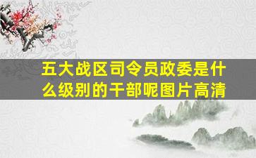 五大战区司令员政委是什么级别的干部呢图片高清