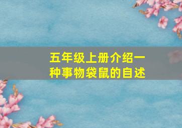 五年级上册介绍一种事物袋鼠的自述