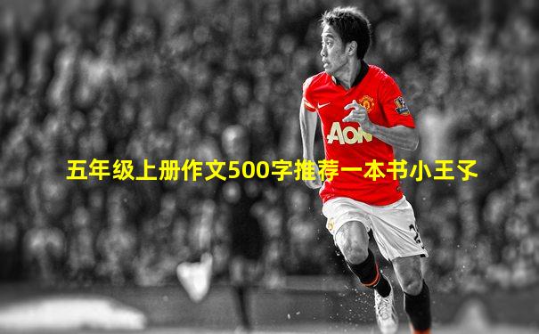 五年级上册作文500字推荐一本书小王孓