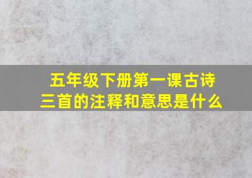 五年级下册第一课古诗三首的注释和意思是什么