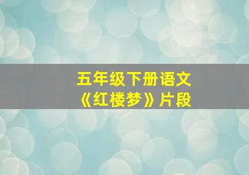 五年级下册语文《红楼梦》片段