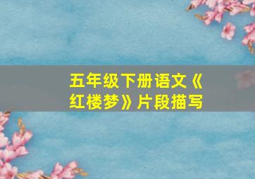 五年级下册语文《红楼梦》片段描写