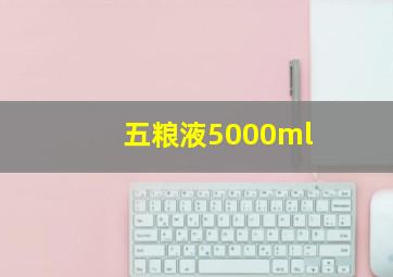 五粮液5000ml