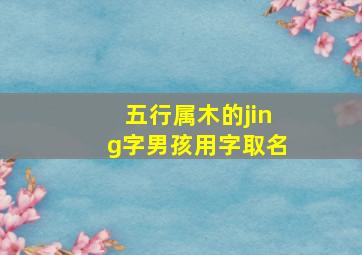 五行属木的jing字男孩用字取名