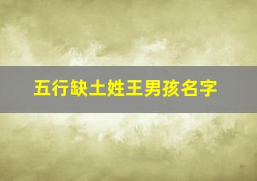 五行缺土姓王男孩名字