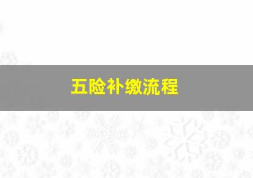 五险补缴流程