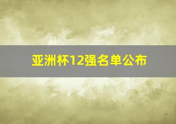 亚洲杯12强名单公布