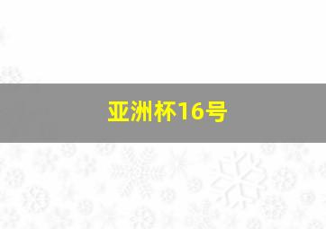 亚洲杯16号