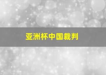 亚洲杯中国裁判