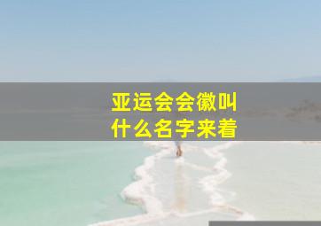 亚运会会徽叫什么名字来着