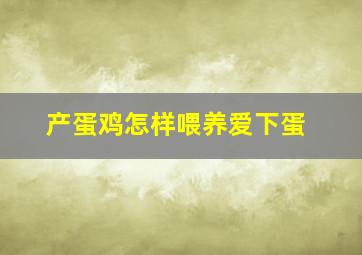 产蛋鸡怎样喂养爱下蛋