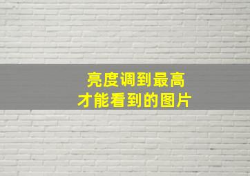 亮度调到最高才能看到的图片