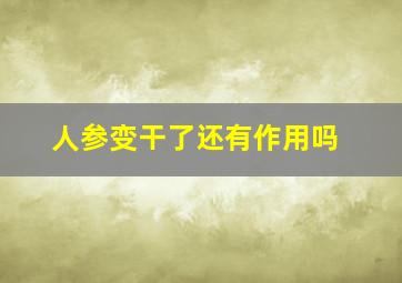 人参变干了还有作用吗