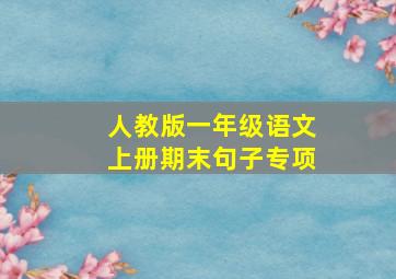 人教版一年级语文上册期末句子专项