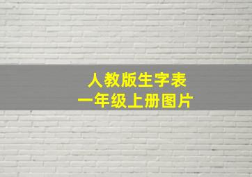 人教版生字表一年级上册图片