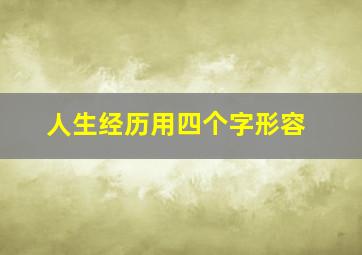 人生经历用四个字形容