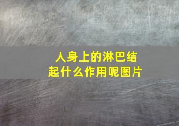 人身上的淋巴结起什么作用呢图片