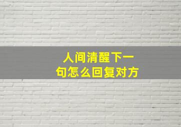 人间清醒下一句怎么回复对方