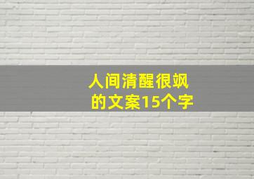 人间清醒很飒的文案15个字