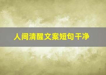 人间清醒文案短句干净