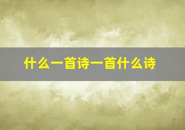 什么一首诗一首什么诗