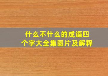 什么不什么的成语四个字大全集图片及解释