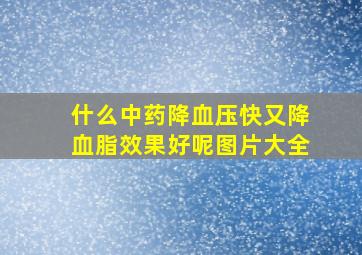 什么中药降血压快又降血脂效果好呢图片大全