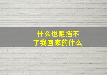 什么也阻挡不了我回家的什么