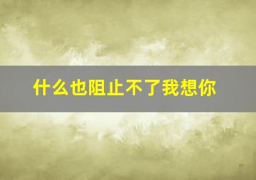 什么也阻止不了我想你