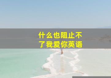 什么也阻止不了我爱你英语