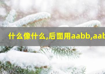 什么像什么,后面用aabb,aabb