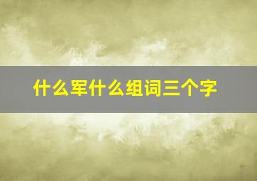 什么军什么组词三个字