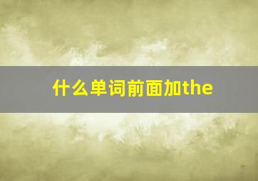 什么单词前面加the