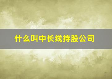 什么叫中长线持股公司